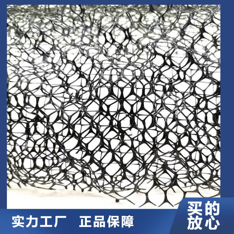 三维植被网水泥化粪池多年行业经验