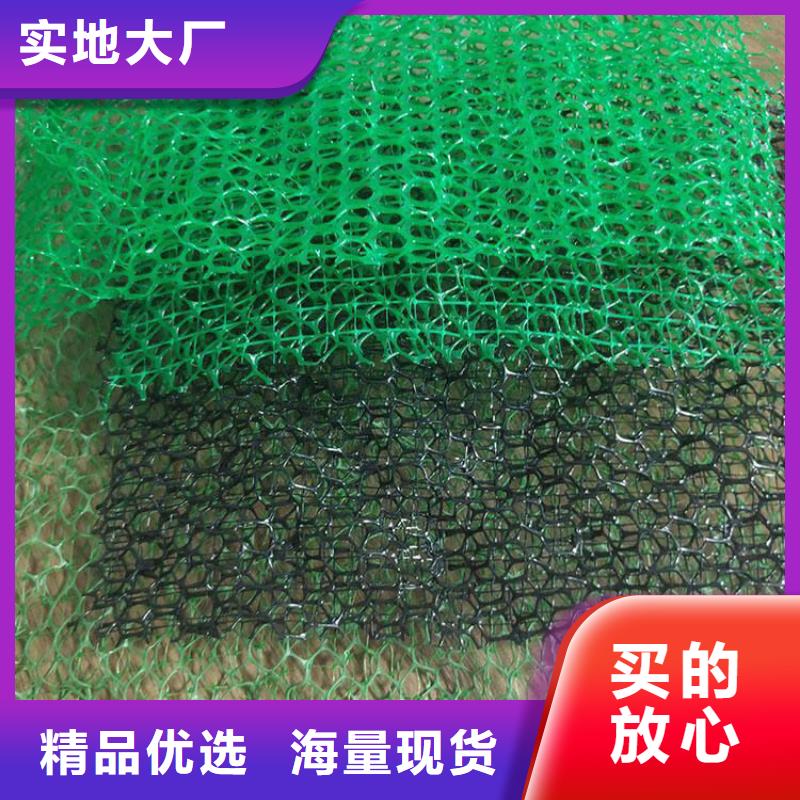 三维植被网排水板厂家型号齐全