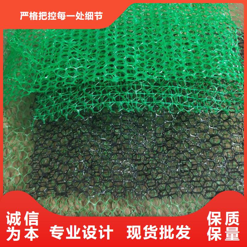 三维植被网水泥化粪池用的放心