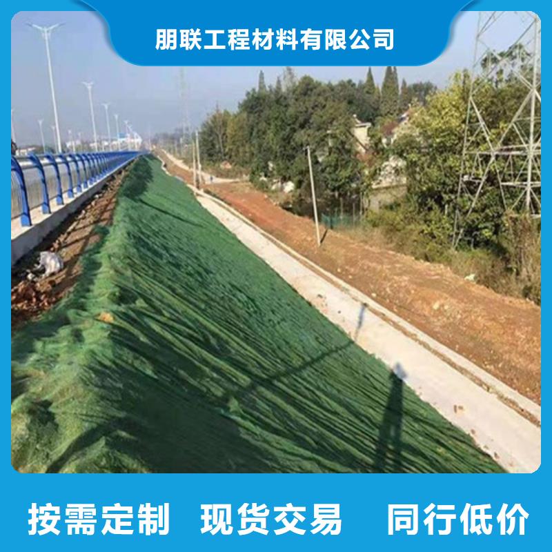 三维植被网_排水板检验发货