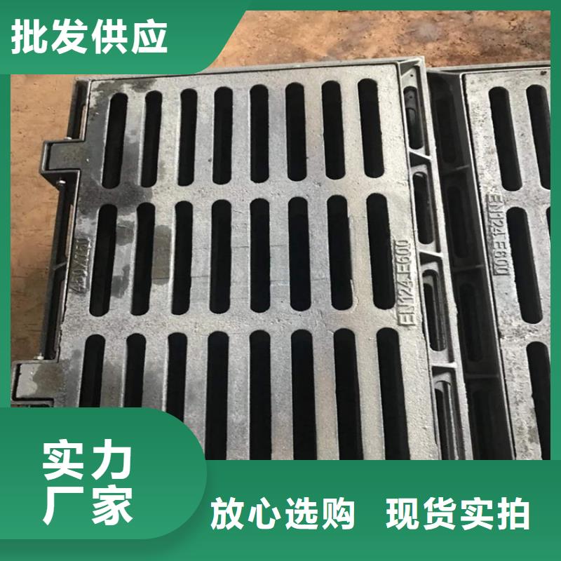 球墨铸铁篦子【雨水污水井】品质做服务