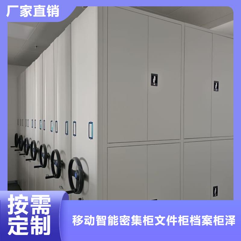 别拘一格【泽信】古籍书库樟木密集柜