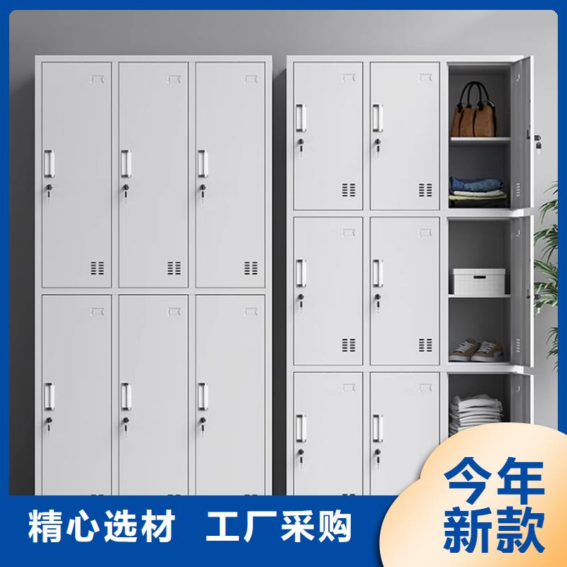 文件柜更衣柜档案柜厂家新品