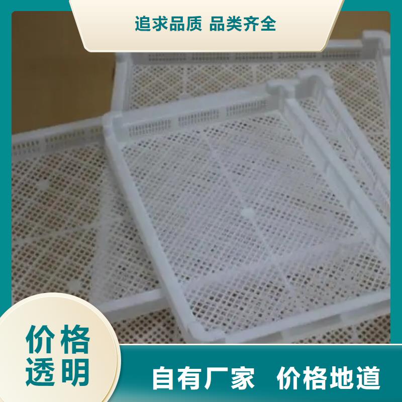 杀菌锅塑料垫板聚氨酯制品厂家经验丰富品质可靠