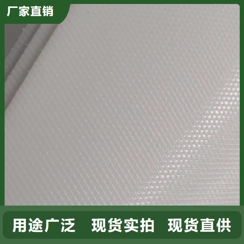 叉车推拉器塑料滑板尼龙轮大厂生产品质