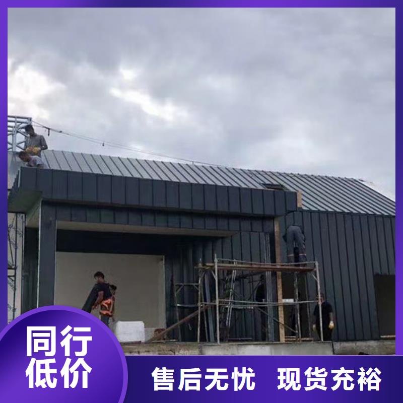 轻钢别墅-农村养老房屋厂家技术完善