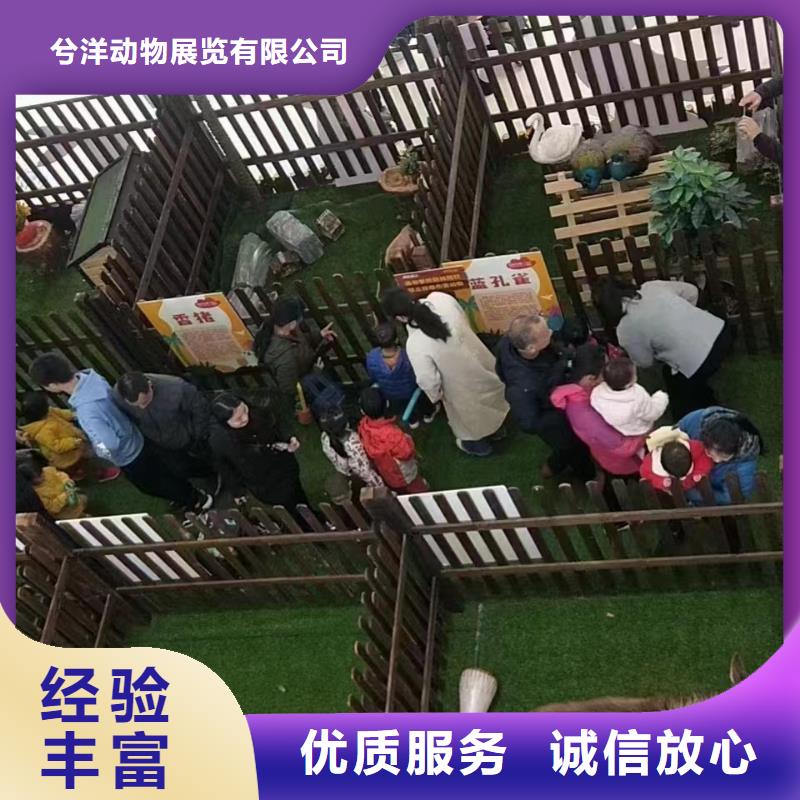 【马戏团/羊驼动物表演出租诚信】