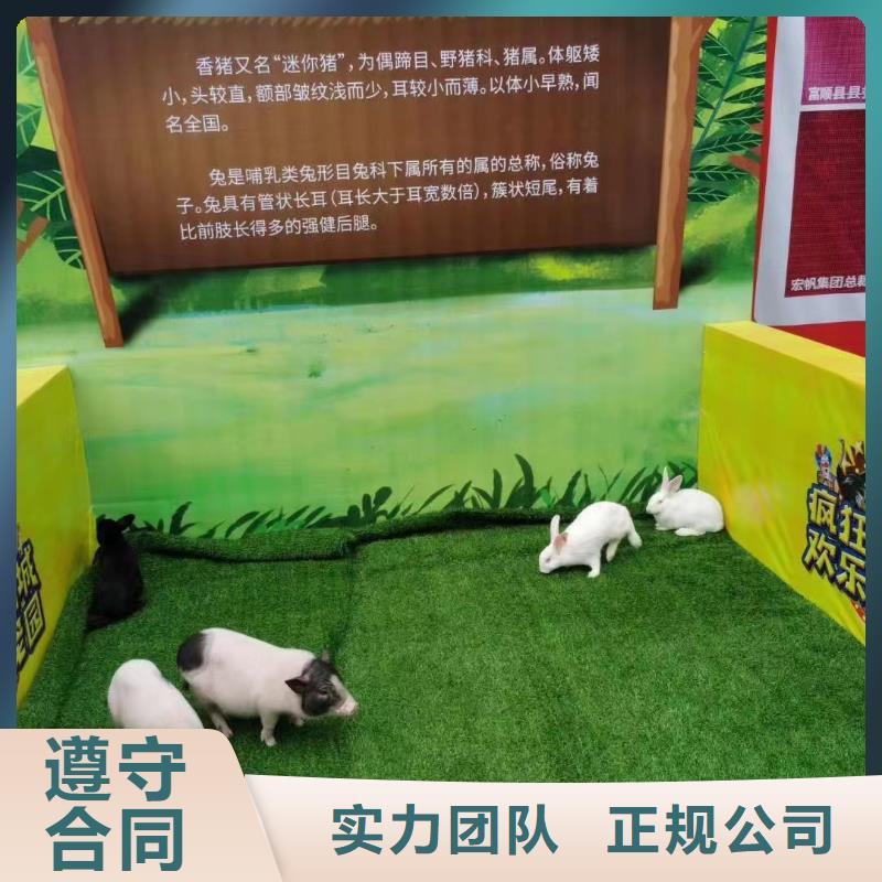 马戏团/羊驼【马戏团表演出租】行业口碑好
