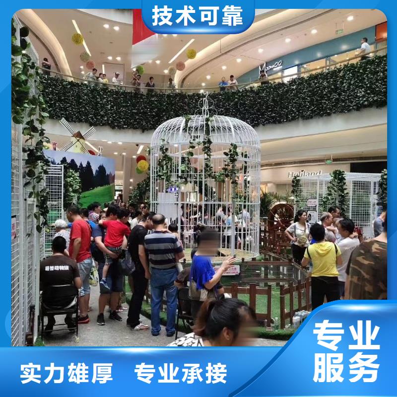 马戏团/羊驼马戏团表演出租租赁一站式服务