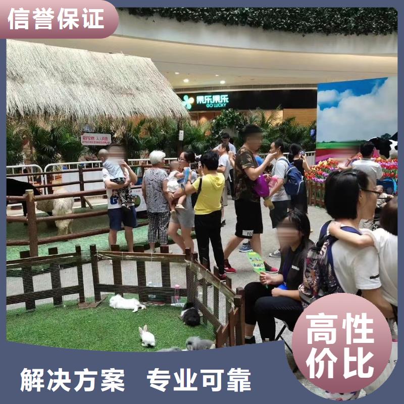 马戏团/羊驼马戏团表演承接