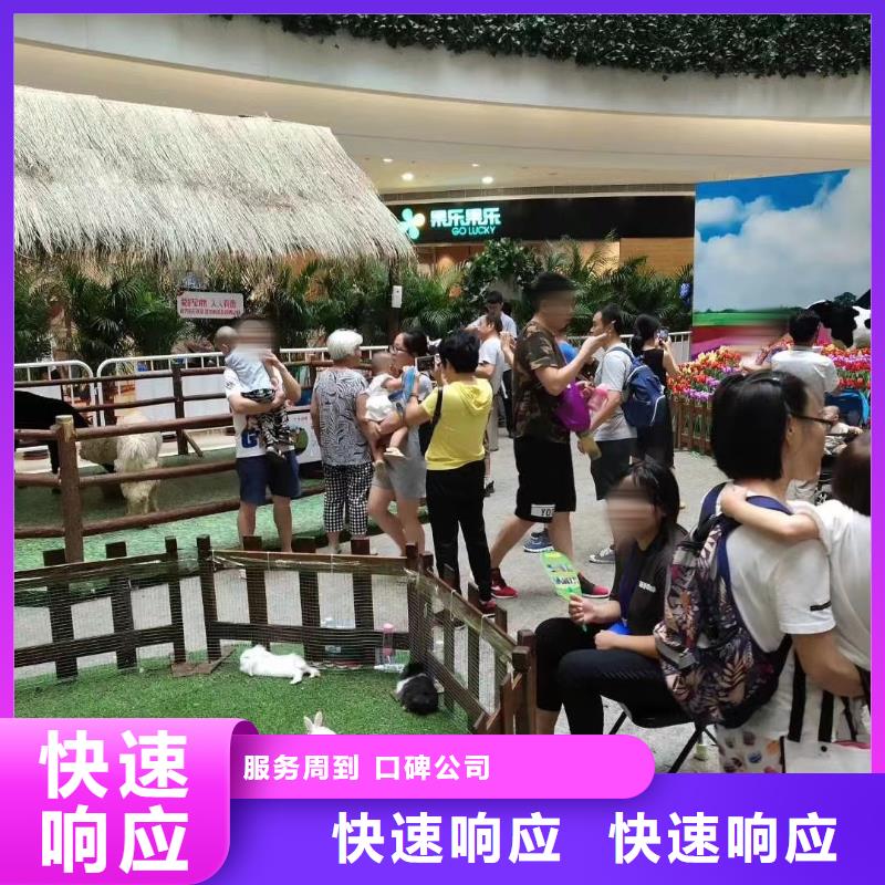 马戏团/羊驼动物杂技表演租赁案例丰富