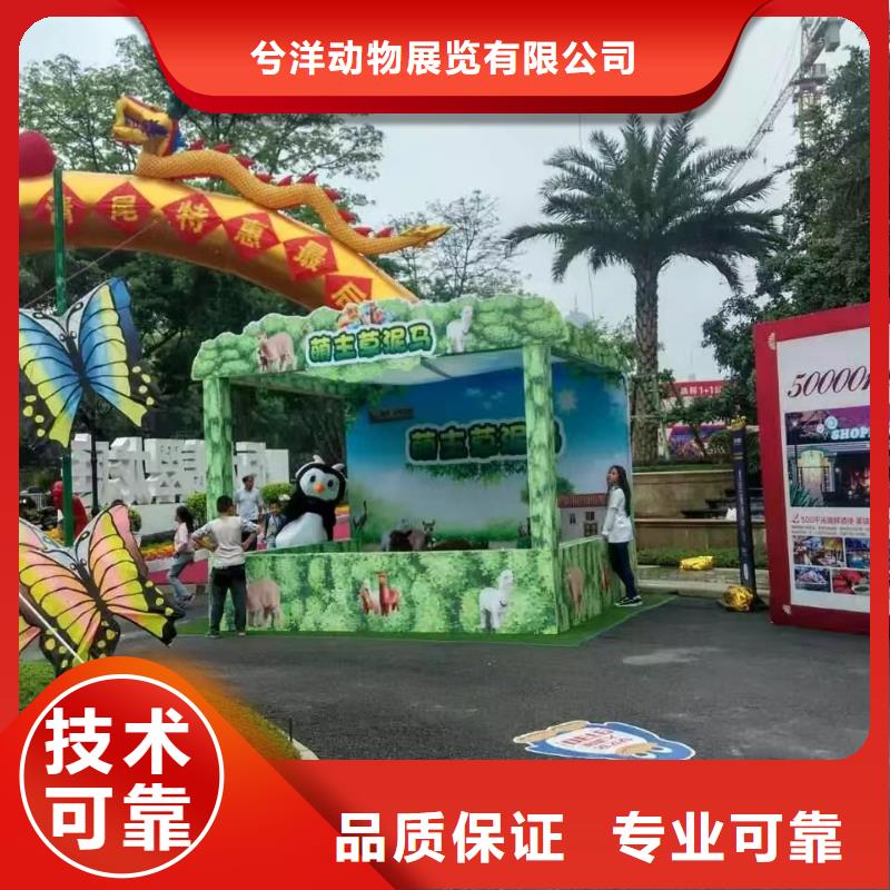 马戏团/羊驼-马戏团表演专业公司