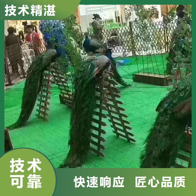 马戏团/羊驼海洋展租赁价格低于同行