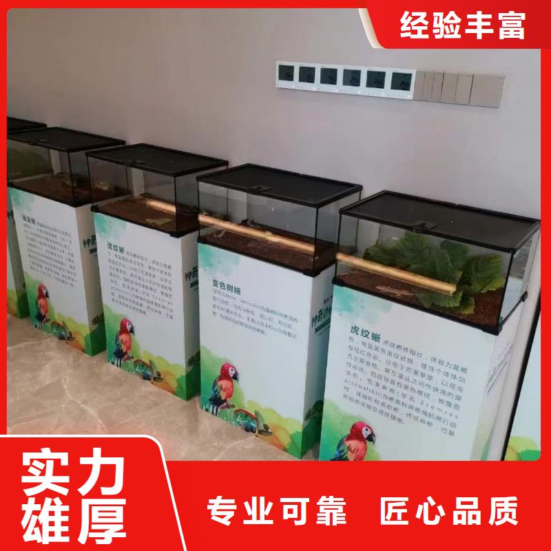 马戏团/羊驼马戏团出租一站式服务