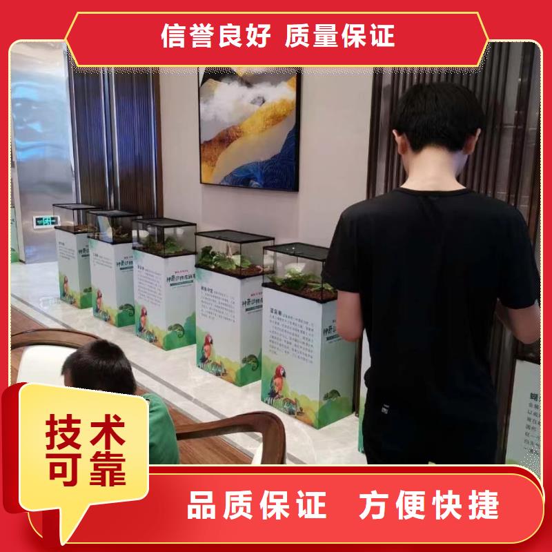 马戏团/羊驼房地产开盘庆典技术比较好