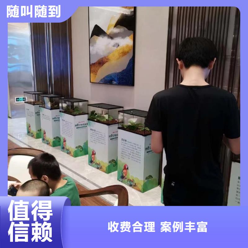 马戏团/羊驼出租马戏团表演正规