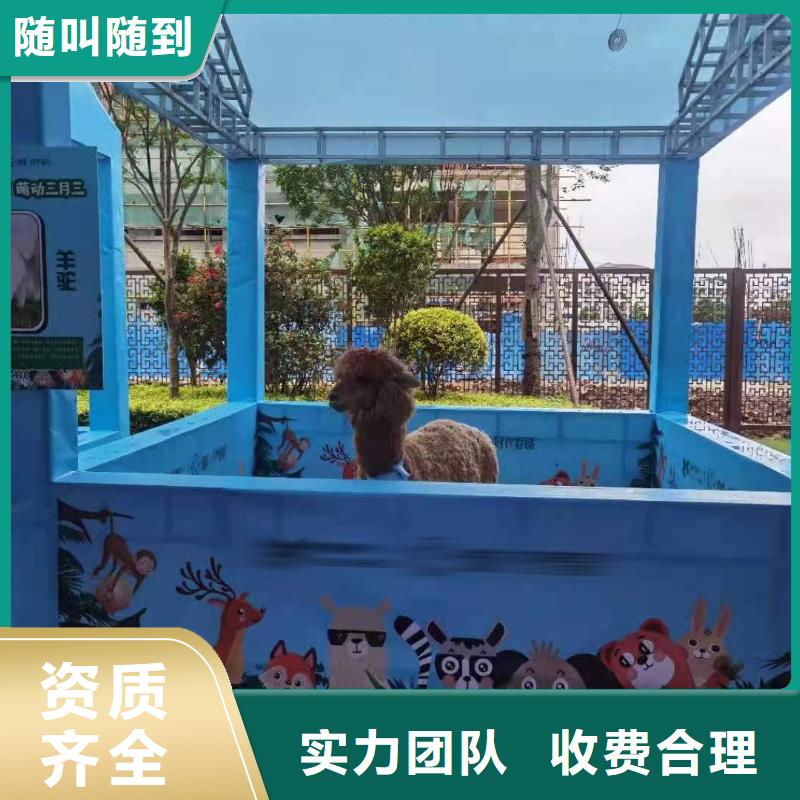 马戏团/羊驼,鹦鹉表演诚实守信