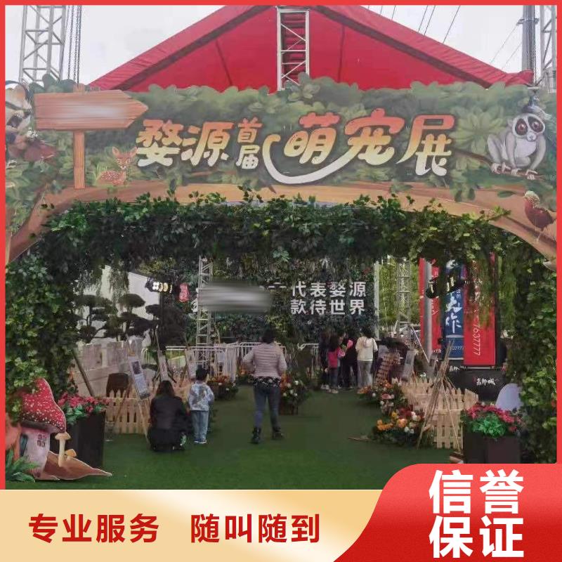 【马戏团/羊驼羊驼出租比同行便宜】