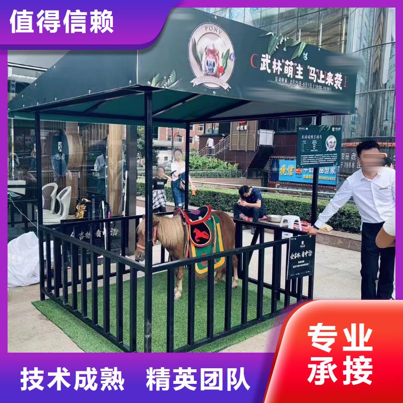 马戏团/羊驼【马戏团表演出租租赁】公司