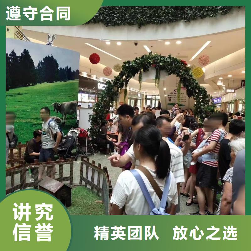 马戏团/羊驼,水族海洋展比同行便宜