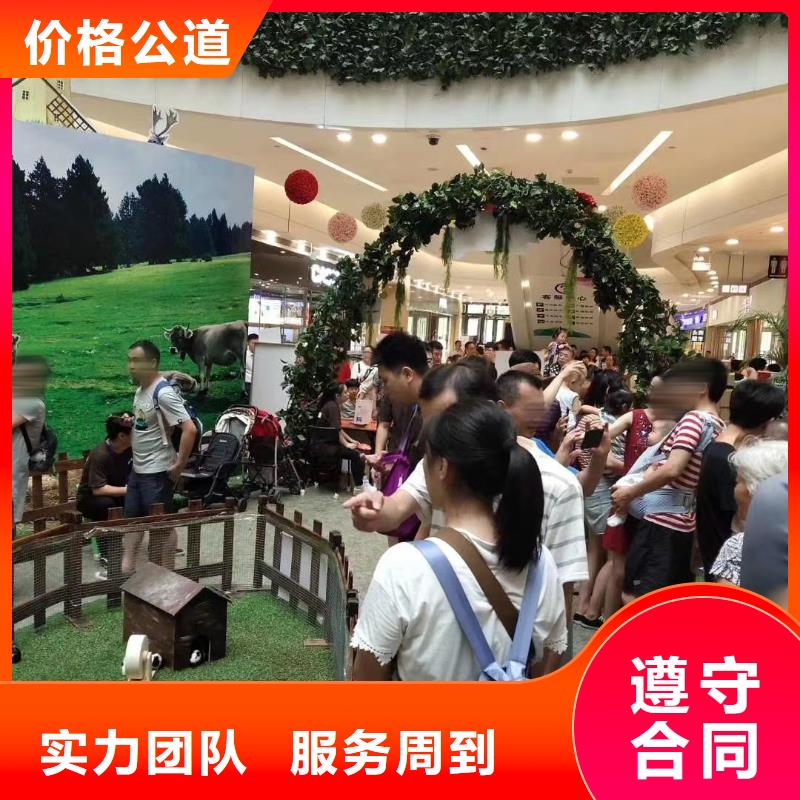 马戏团/羊驼马戏团表演承接