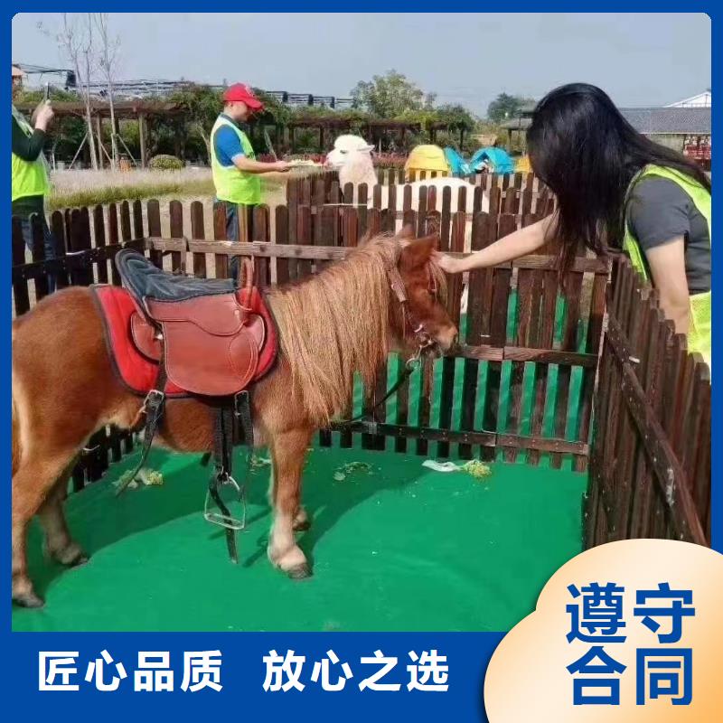马戏团/羊驼【海狮表演出租】信誉保证