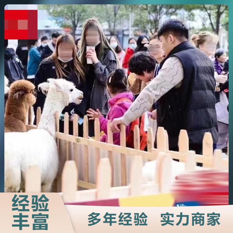 【马戏团/羊驼马戏团表演出租租赁价格透明】