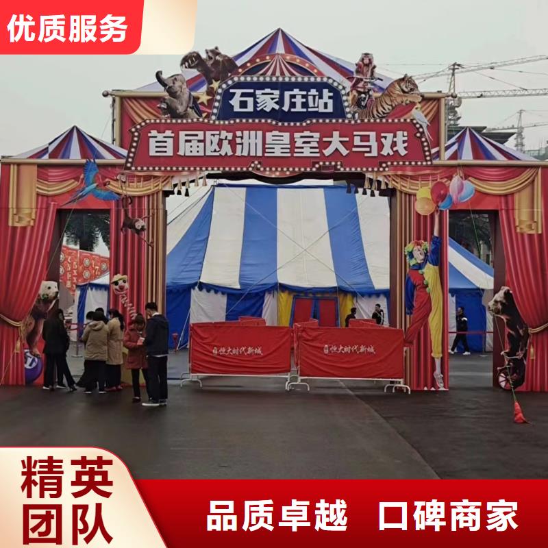 马戏团/羊驼出租表演鹦鹉多年行业经验