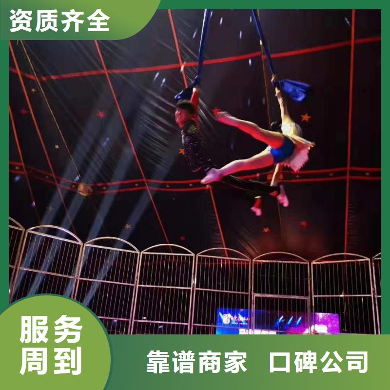 马戏团/羊驼-企鹅出租表演好评度高