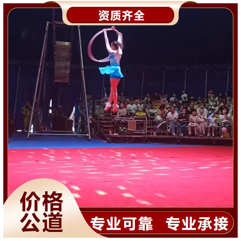 【马戏团/羊驼】羊驼出租多家服务案例