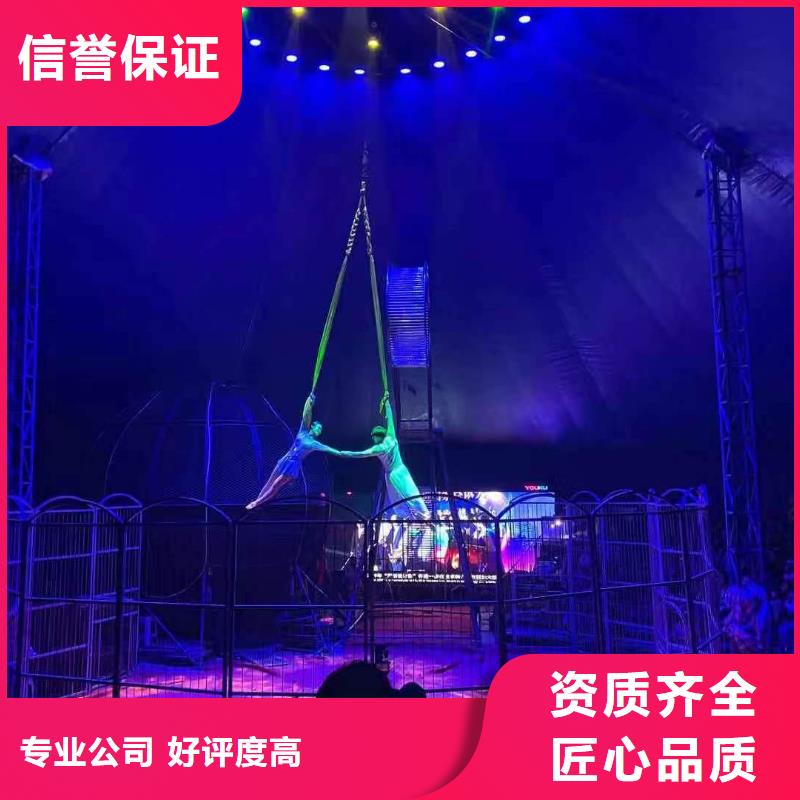 马戏团/羊驼,景区杂技表演快速