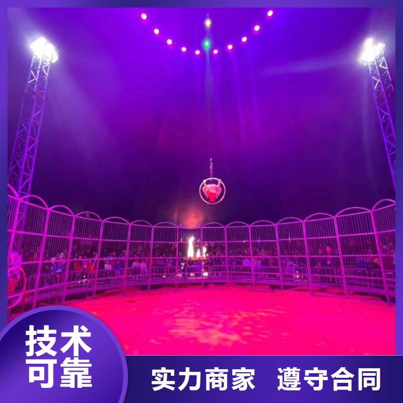 马戏团/羊驼海洋展租赁价格低于同行