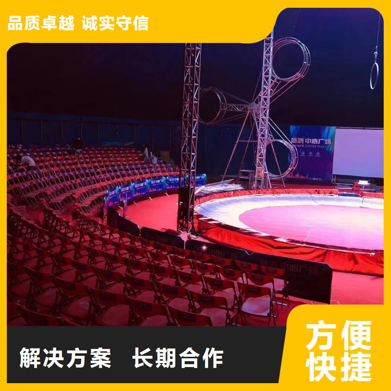 马戏团/羊驼-企鹅出租表演好评度高
