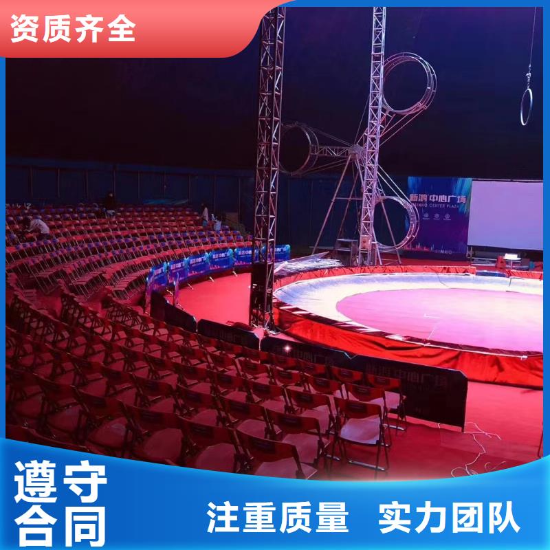 马戏团/羊驼海狮表演租赁专业