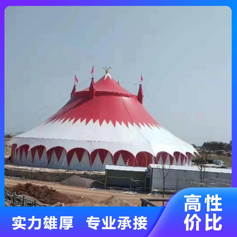 马戏团/羊驼_【羊驼出租】专业团队