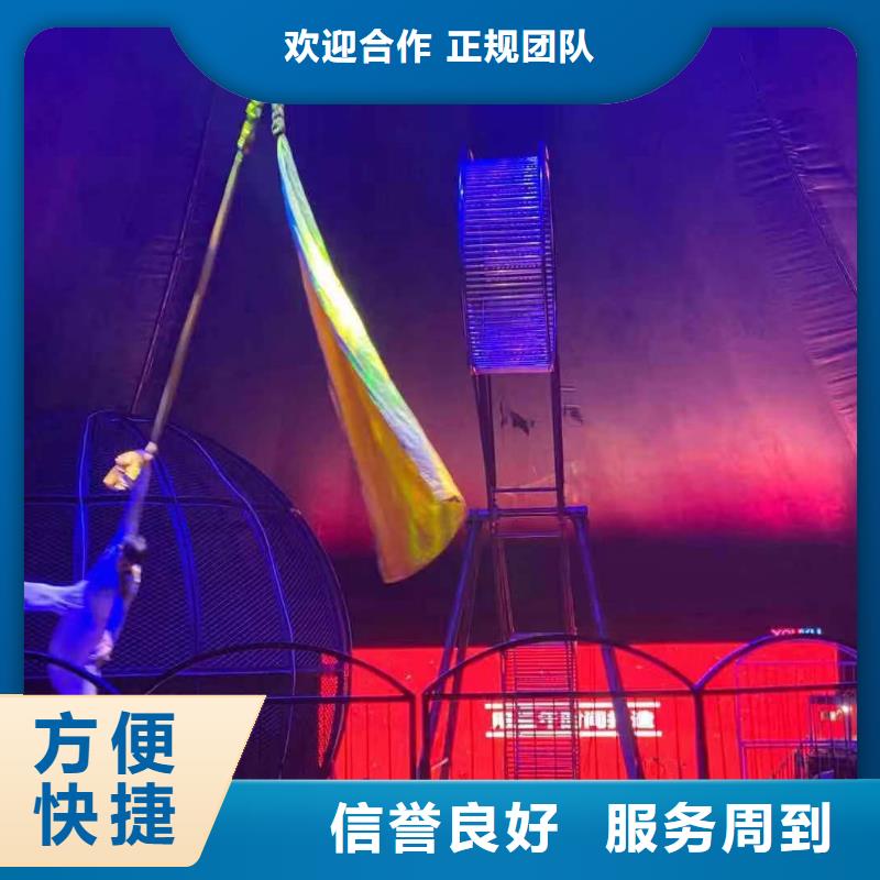 【马戏团/羊驼【出租企鹅表演】质优价廉】
