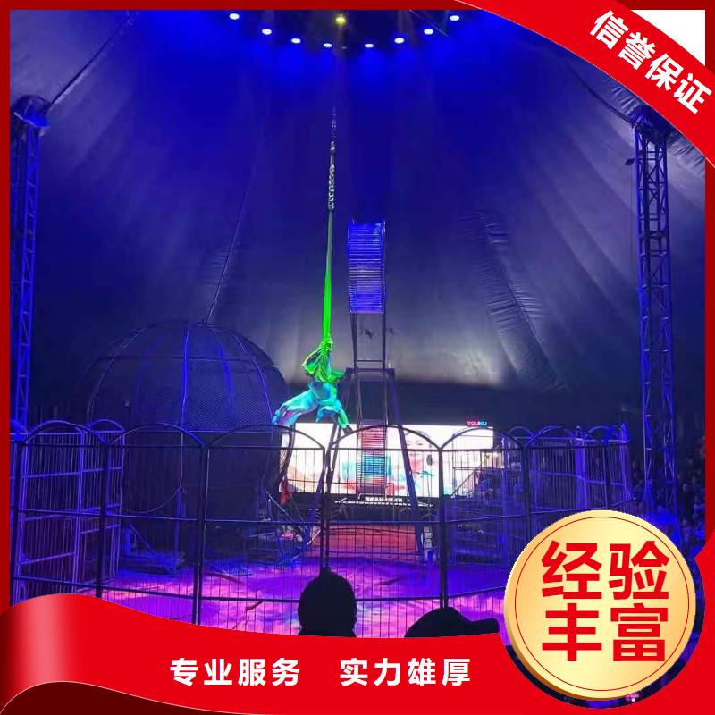 【马戏团/羊驼表演动物出租品质保证】