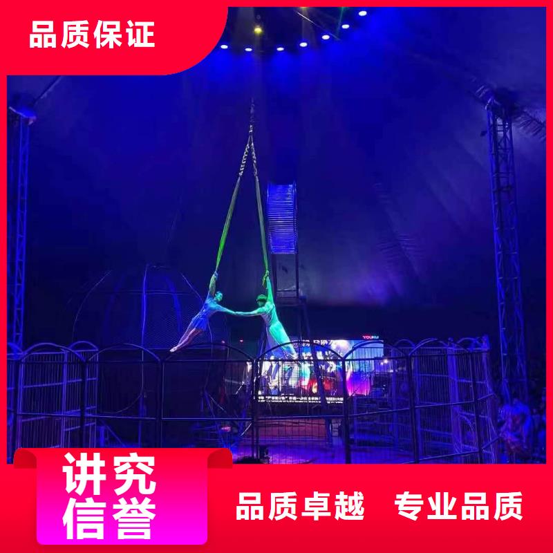 马戏团/羊驼【海狮表演出租】信誉保证