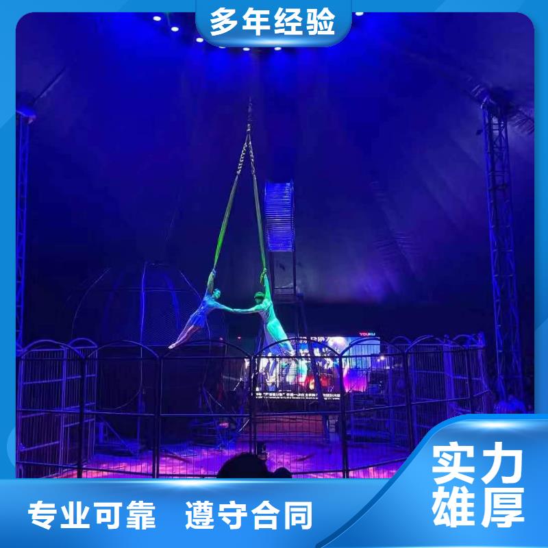 马戏团/羊驼,美人鱼表演专业可靠