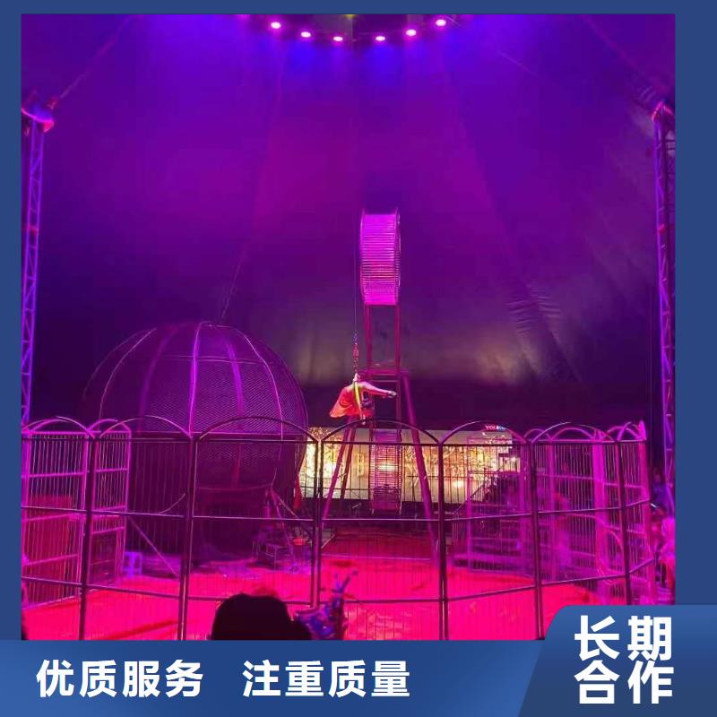 马戏团/羊驼,鹦鹉表演诚实守信