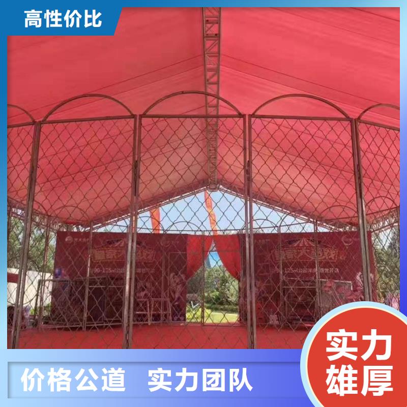 马戏团/羊驼-【羊驼出租】欢迎询价
