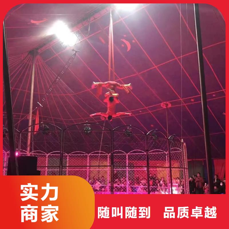 马戏团/羊驼-【马戏团表演出租租赁】实力强有保证