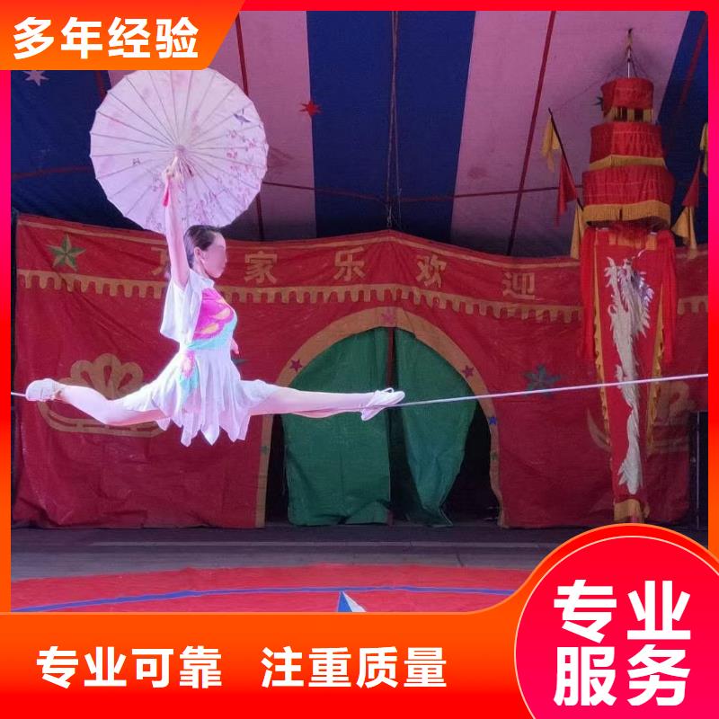 马戏团/羊驼-马戏团表演专业公司