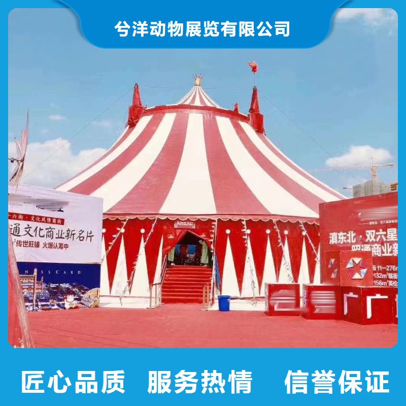 马戏团/羊驼租赁美人鱼表演品质保证