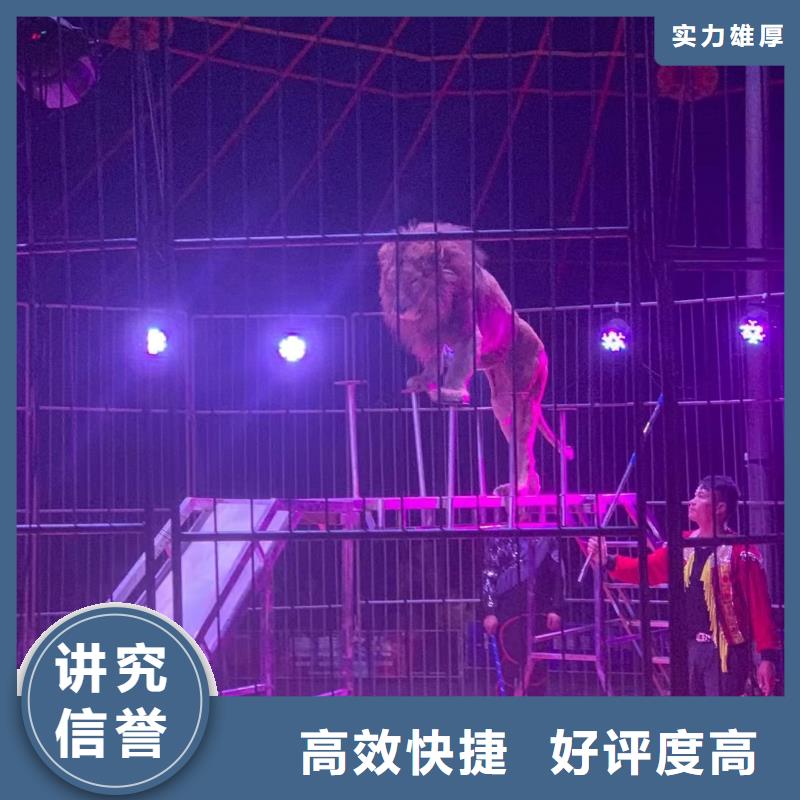 马戏团/羊驼美人鱼表演快速