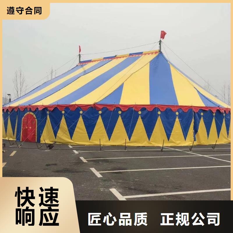 马戏团/羊驼_【羊驼出租】专业团队