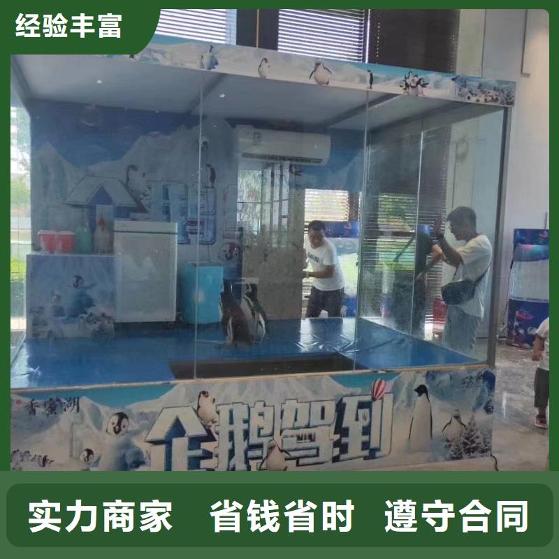 【海洋主题动物表演】鹦鹉表演租赁明码标价