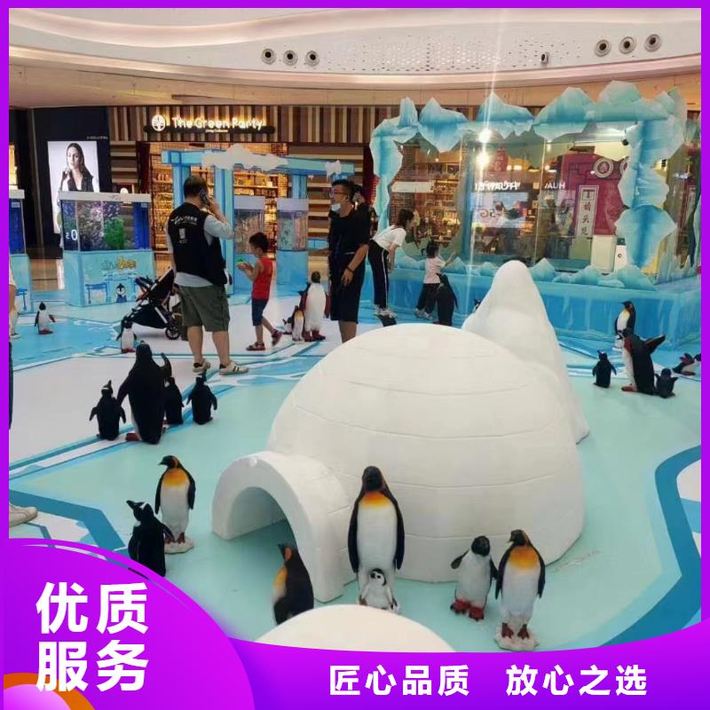 海洋主题动物表演【海狮租赁表演】拒绝虚高价