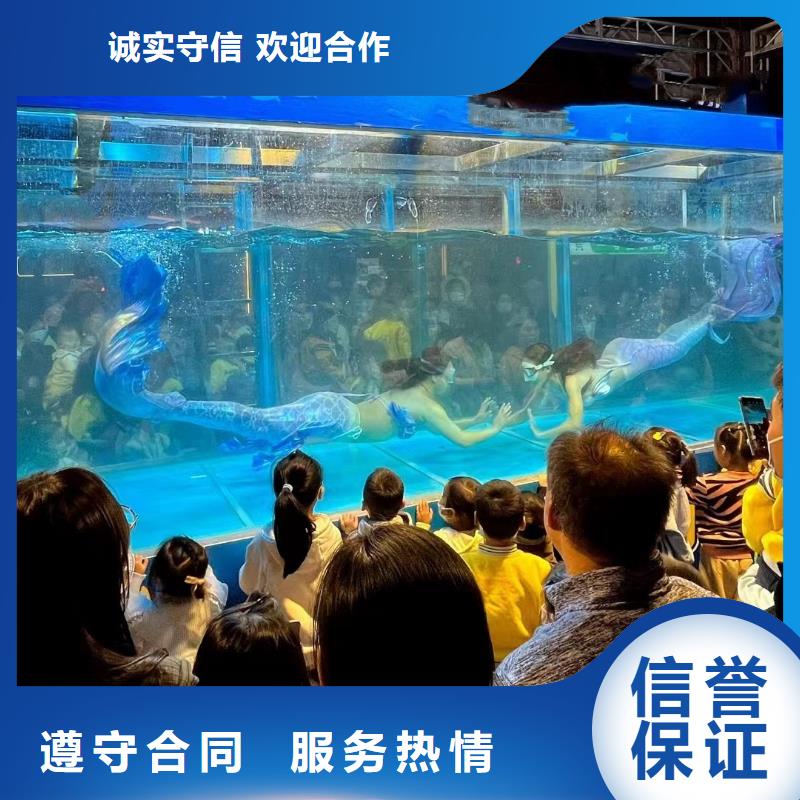 海洋主题动物表演羊驼出租实力强有保证