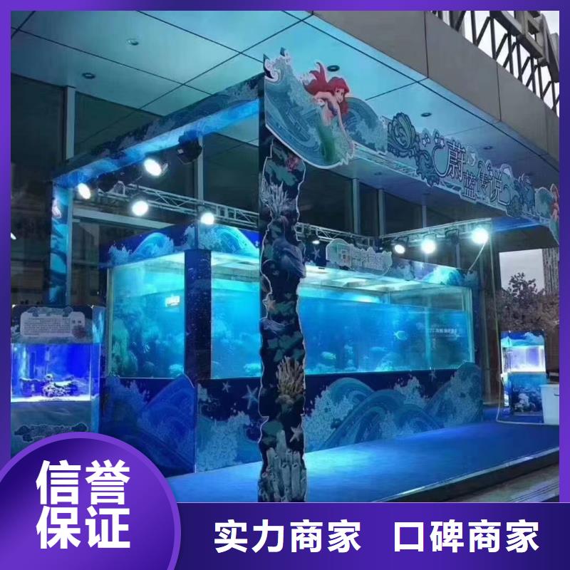 海洋主题动物表演-海狮表演出租案例丰富